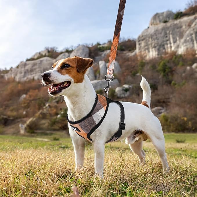 PUPTECK Soft Mesh Dog Harness and Leash Set Pet Puppy Cat Comfort Padded Vest No Pull Harnesses, Orange, L PUPTECK
