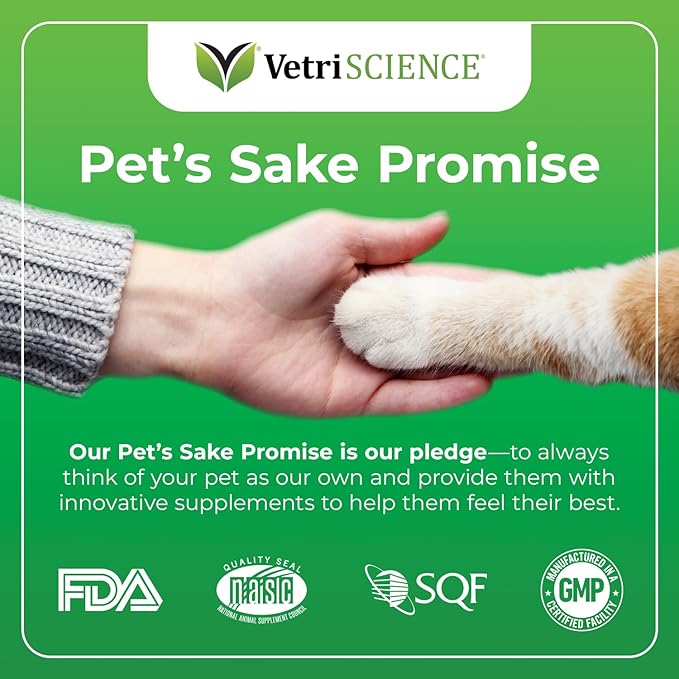 VetriScience Perio Plus Cat Teeth Cleaning Bites - Advanced Cat Breath Freshener - Dual Action Cat Dental Care Formula for Plaque Control & Fresh Breath, 60 Chews, Chicken Flavor VetriScienceLaboratories