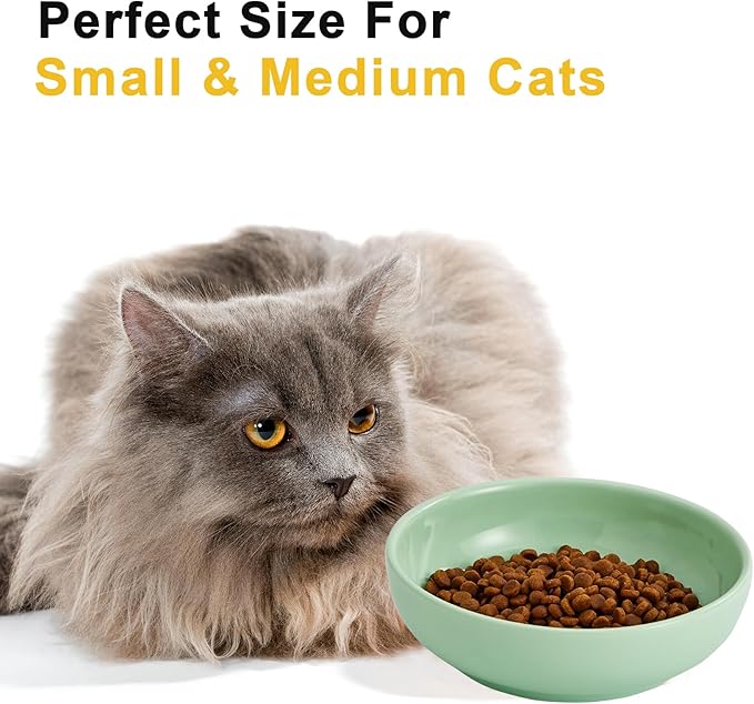 Howise 5.3 in Ceramic Cat Bowls Set, Shallow Cat Food Bowl Small Pet Bowls Cat Dish for Food and Water, Green - PAWPICO