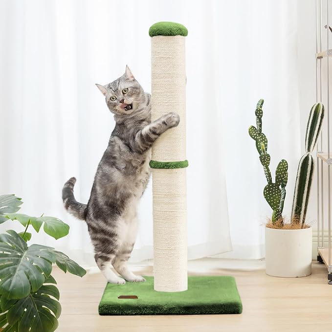 34inch Cat Scratching Post with Natural Sisal Rope 4.3Inch Large Diameter Scratcher Post Tree for Indoor Cats Green - PAWPICO