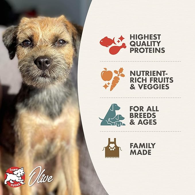 Fromm Four-Star Nutritionals Surf & Turf Dog Food - Premium Dry Dog Food - Salmon Recipe - 26 lb - PAWPICO