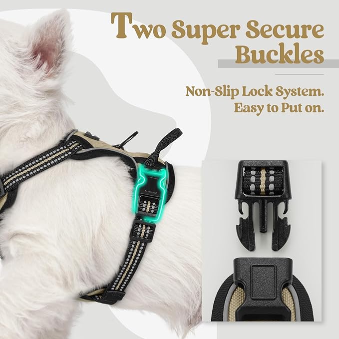 rabbitgoo Dog Harness No Pull with 2 Leash Clips, Adjustable Soft Padded, Reflective Oxford No Choke Pet Vest with Easy Control Handle for Puppy, Beige, XS rabbitgoo