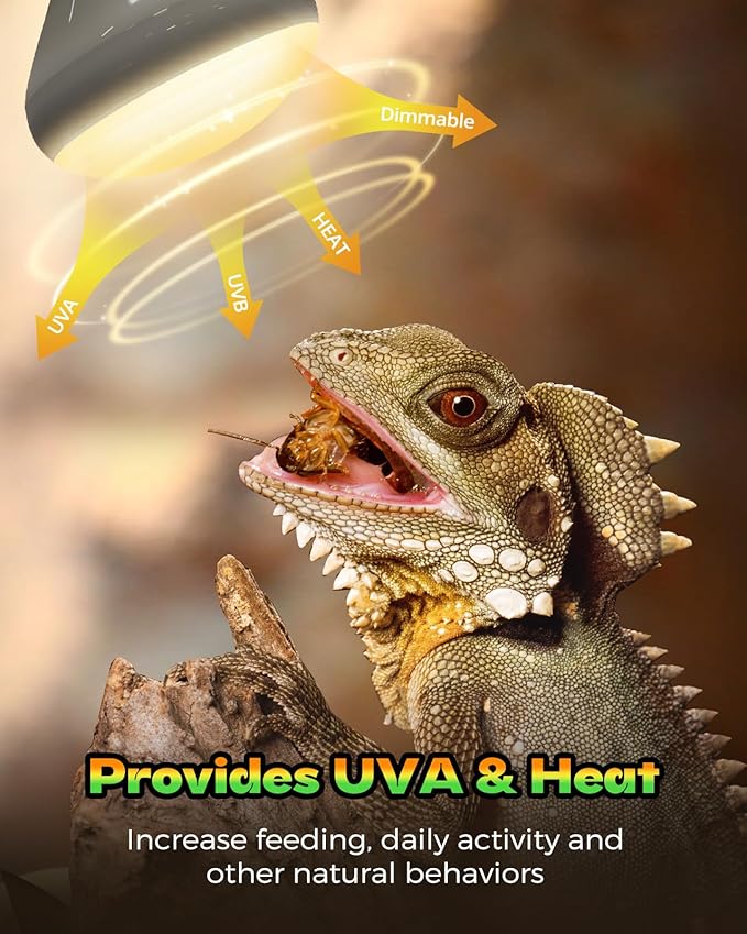 Reptile Heat Lamp, 2 Pack 100W Heat Lamp Bulbs for Reptiles, Amphibians Basking Heat Lamp Bulbs, UVA Daylight Basking Light for Reptiles, Bearded Dragon, Lizard, Turtle, Chicken Haceryc