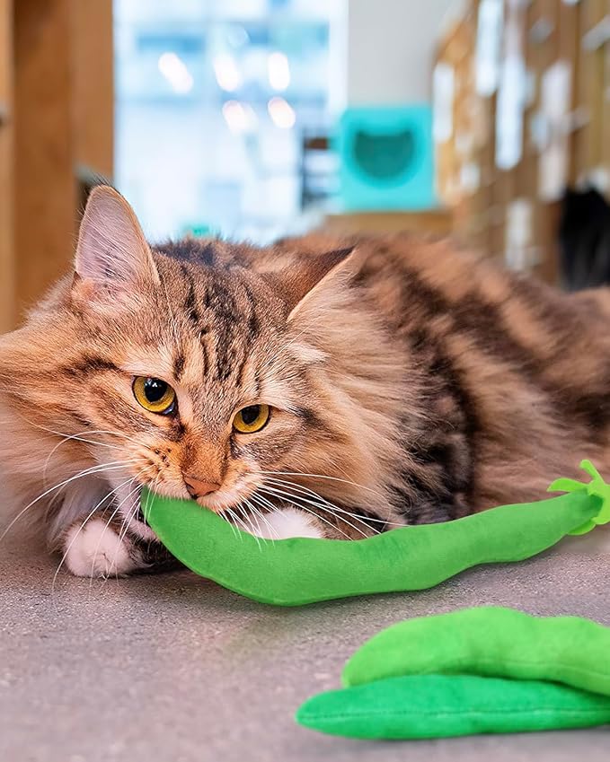 CiyvoLyeen Catnip Toy, Green Bean Cat Toys Kitten Supplies Interactive Kicker Vegetables Vegan Dental Health Teething Chew Gift for Cat Lovers Indoor 4PCS - PAWPICO