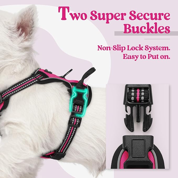 rabbitgoo Dog Harness No Pull with 2 Leash Clips, Adjustable Soft Padded, Reflective Oxford No Choke Pet Vest with Easy Control Handle for Puppy, Hot Pink, XS rabbitgoo