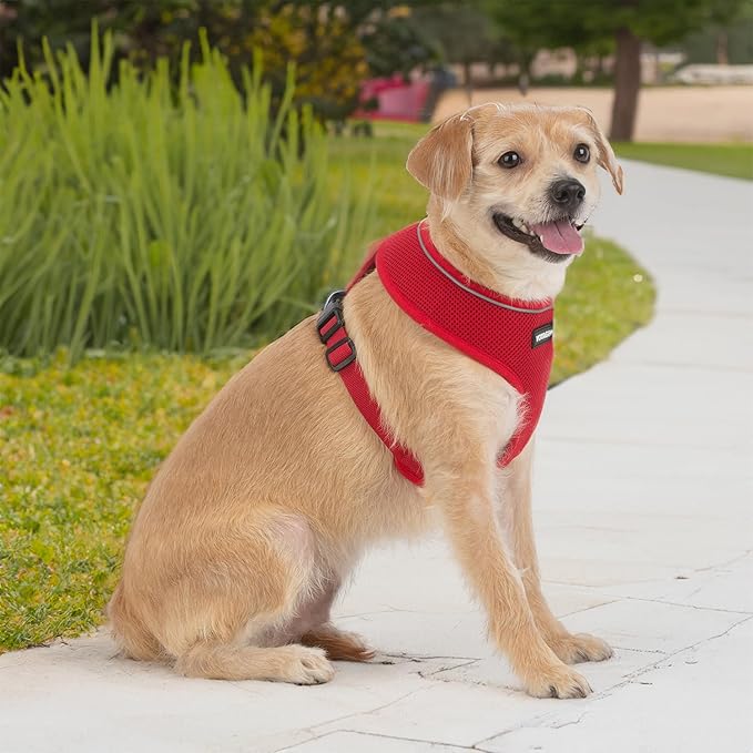 Voyager Aerolite No Pull Mesh Dog Harness with Lightweight, Soft, Breathable, Reflective Stitching, and Adjustable Straps for Walking, Running, Training, Heavy Duty and Durable - Red, S BestPetSuppliesLLC
