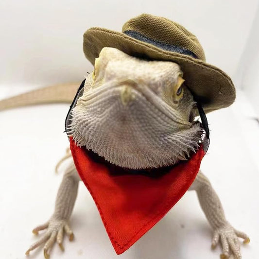 ADOGGYGO Bearded Dragon Cowboy Hat Bandana Set, Halloween Lizard Cowboy Costume Bearded Dragon Accessories Small Animal Reptile Cosplay Outfits (Cowboy Brown) ADOGGYGO
