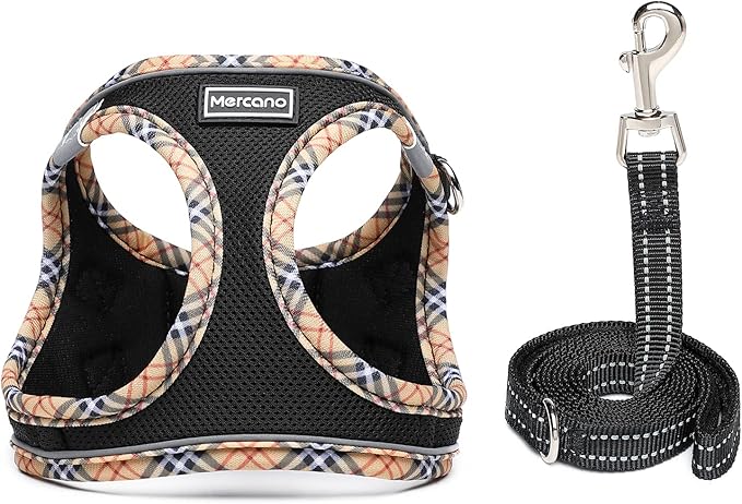 Mercano Soft Mesh Dog Harness and Leash Set, No-Chock Step-in Reflective Breathable Lightweight Easy Walk Escape Proof Vest Harnesses with Safety Buckle for Small Medium Dogs, Cats (Black Yellow, XS) PAWPICO