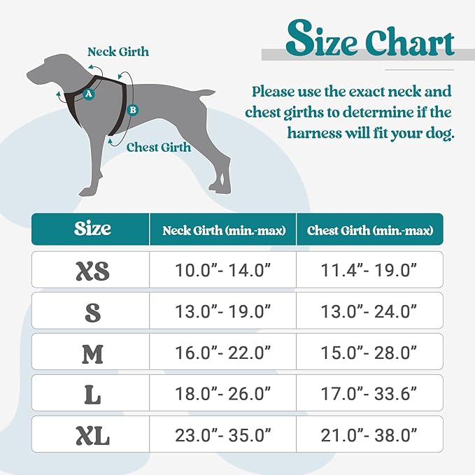 rabbitgoo Dog Harness No Pull with 2 Leash Clips, Adjustable Soft Padded, Reflective Oxford No Choke Pet Vest with Easy Control Handle for Large Dogs, Blue Coral, XL rabbitgoo