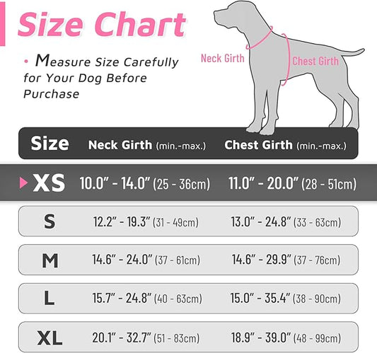 Eagloo Small Dog Harness No Pull, Service Vest with Reflective Strips and Control Handle, Adjustable and Comfortable for Easy Walking, No Choke Pet Harness with 2 Metal Rings, Pink, XS GoExplorewithEagloo