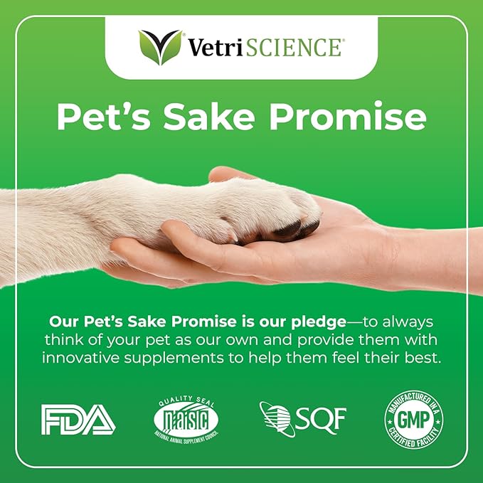 VetriScience Perio Plus Dental Sticks for Dogs - Advanced Dog Breath Freshener - Dual Action Dog Teeth Cleaning Chews for Plaque Control & Fresh Breath, 30 Sticks, Chicken Flavor VetriScienceLaboratories