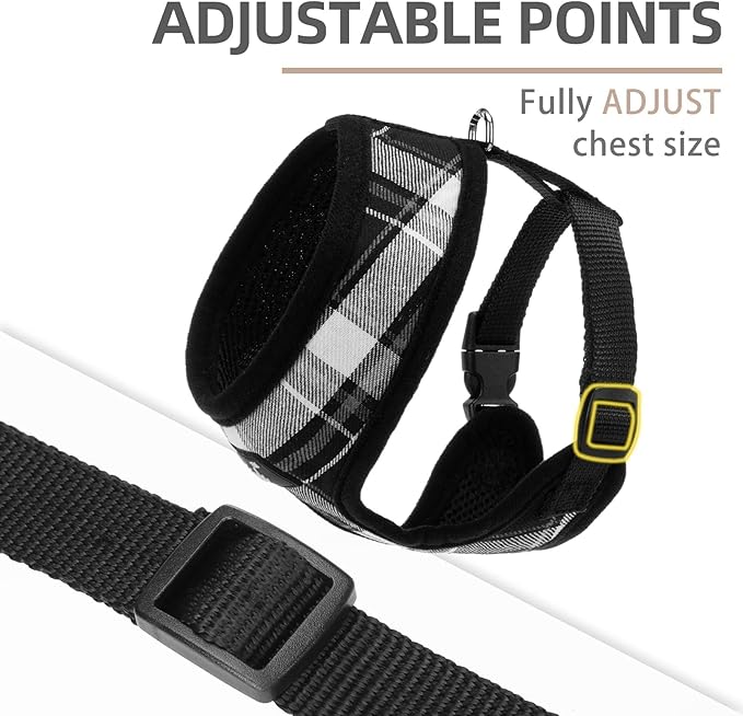 PUPTECK Soft Mesh Dog Harness and Leash Set Pet Puppy Cat Comfort Padded Vest No Pull Harnesses, Black, L PUPTECK