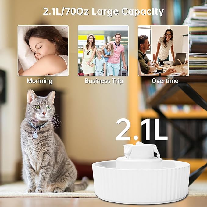 Ceramic Cat Water Fountain, 2.1L/70oz Ceramic Pet Water Fountain Automatic Cat Drinking Fountains Pet Water Bowl, Porcelain Cat Water Dispenser with Ultra-Quiet Pump for Cats and Dogs (White) - PAWPICO