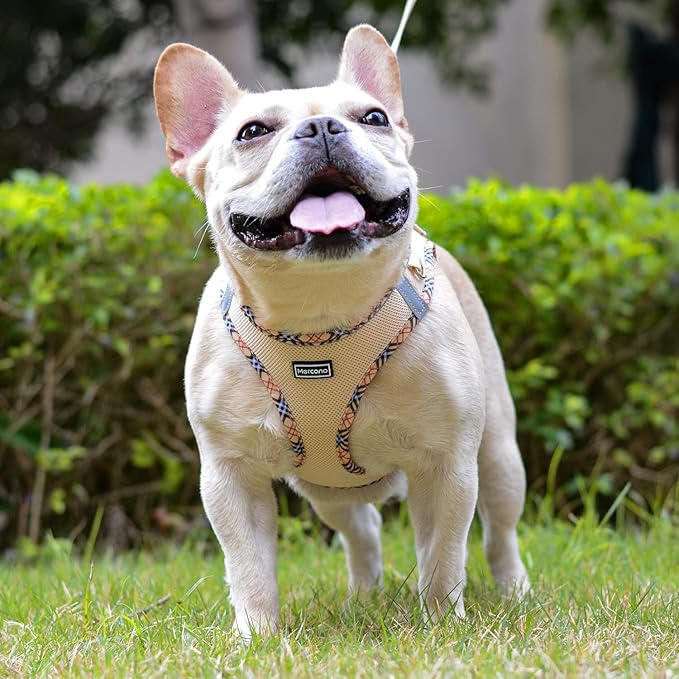 Mercano Soft Mesh Dog Harness and Leash Set, No-Chock Step-in Reflective Breathable Lightweight Easy Walk Vest Harnesses with Safety Buckle for Small Medium Dogs, Cats (Beige, S) PAWPICO