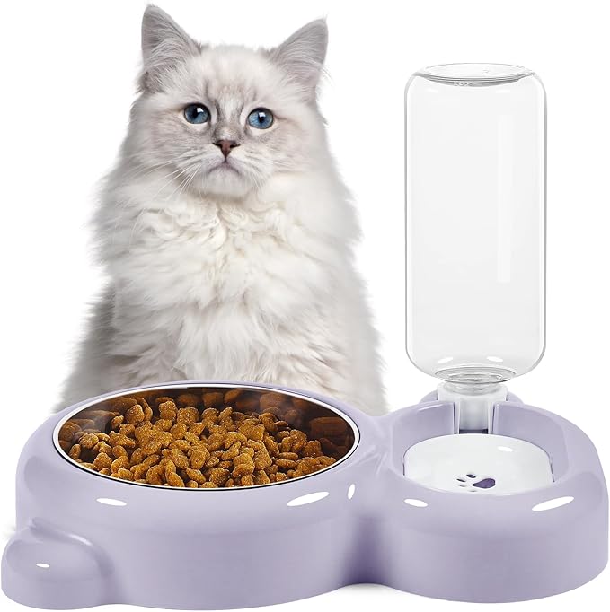 Dog Bowls, Cat Food and Water Bowl Set with Water Dispenser and Stainless Steel Bowl for Cats and Small Dogs - Purple - PAWPICO