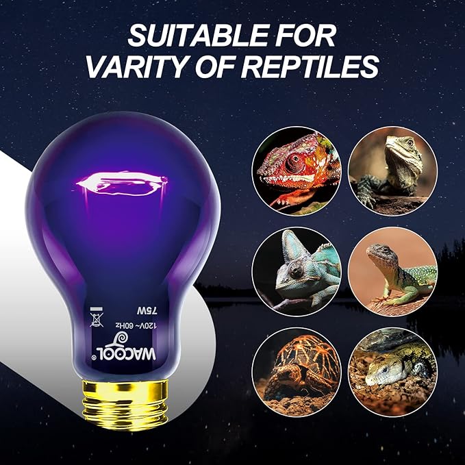 WACOOL 4Pack Reptile Night Heat Lamp, 75W Night Heat Lamp for Reptiles & Amphibians,Simulate Nature Moonlight Purple Night Light for Bearded Dragon Lizard Snake Crab… WACOOLTERRA