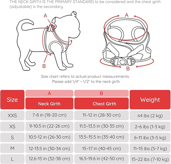 BELLA & PAL Puppy Harness with Leash Set, Dog Harness for Small Dogs No Pull, Dog Leash for Small Dogs, Step in Harness for Extra Small Dogs, Red Harness, M BELLAPAL