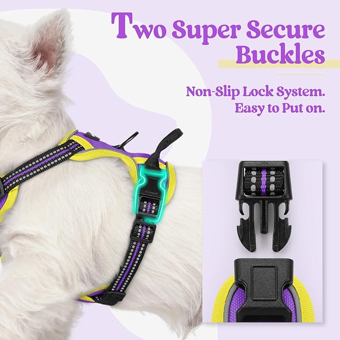 rabbitgoo Dog Harness No Pull with 2 Leash Clips, Adjustable Soft Padded, Reflective Oxford No Choke Pet Vest with Easy Control Handle for Puppy, Purple & Yellow, XS rabbitgoo