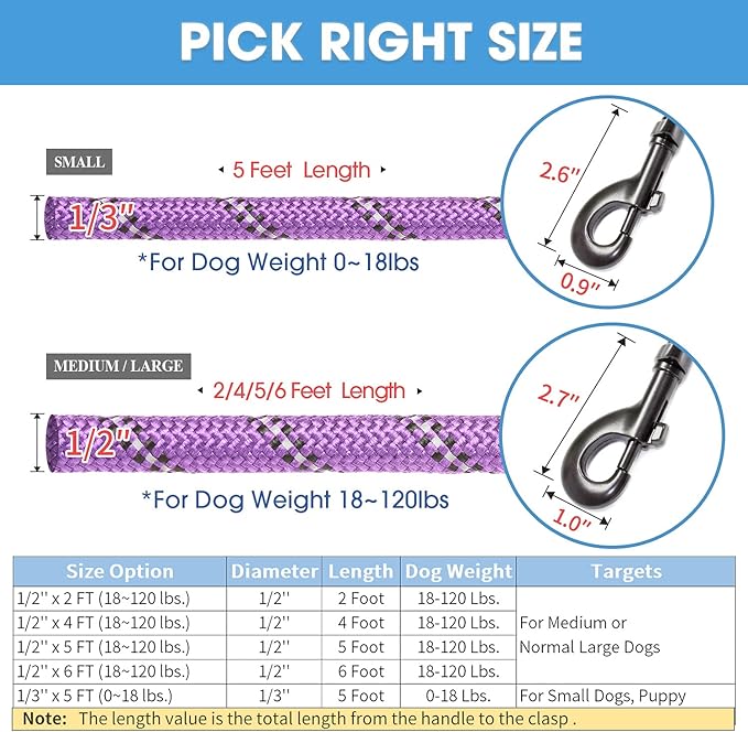 BAAPET 2/4/5/6 FT Dog Leash with Comfortable Padded Handle and Highly Reflective Threads for Small Medium and Large Dogs (6FT-1/2'', Purple) BAAPET