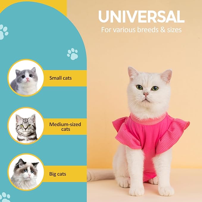 Avont Cat Recovery Suit - Post-Surgery Onesie for Cats, Alternative to Cone of Shame, Protective Spay Suit for Female Kitten, Ideal for Healing and Skin Conditions -Magenta(M) Avont
