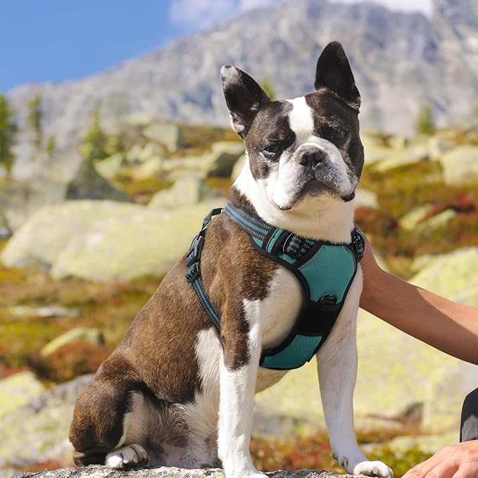 Eagloo Dog Harness Medium Sized Dog, No Pull Service Vest with Reflective Strips and Control Handle, Adjustable and Comfortable for Easy Walking, No Choke Pet Harness with 2 Metal Rings, Dark Green, M GoExplorewithEagloo