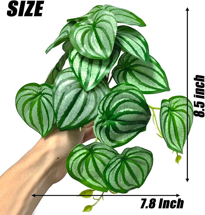 Woyrise 2 Pack Reptile Plants, Terrarium Hanging Plant Vines, Artificial Leaves with Suction Cup, Bearded Dragon Tank Accessories for Gecko Lizard Snake Frog Tortoise Decorations - Calathea Orbifolia Woyrise