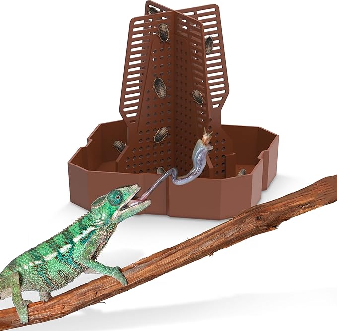 Chameleon Feeding Bowl for Reptile Terrarium, Climbable Design for Reptile to Hunt, Suitable for Feeding Lizards, Bearded Dragons, Geckos, Guardians, Frogs, Reddish Brown, Small Fischuel
