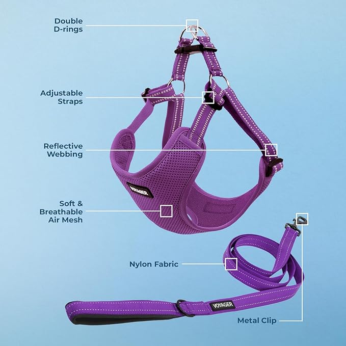 Best Pet Supplies Voyager Adjustable Dog Harness Leash Set with Reflective Stripes for Walking Heavy-Duty Full Body No Pull Vest with Leash D-Ring, Breathable All-Weather - Harness (Purple), S BestPetSuppliesLLC