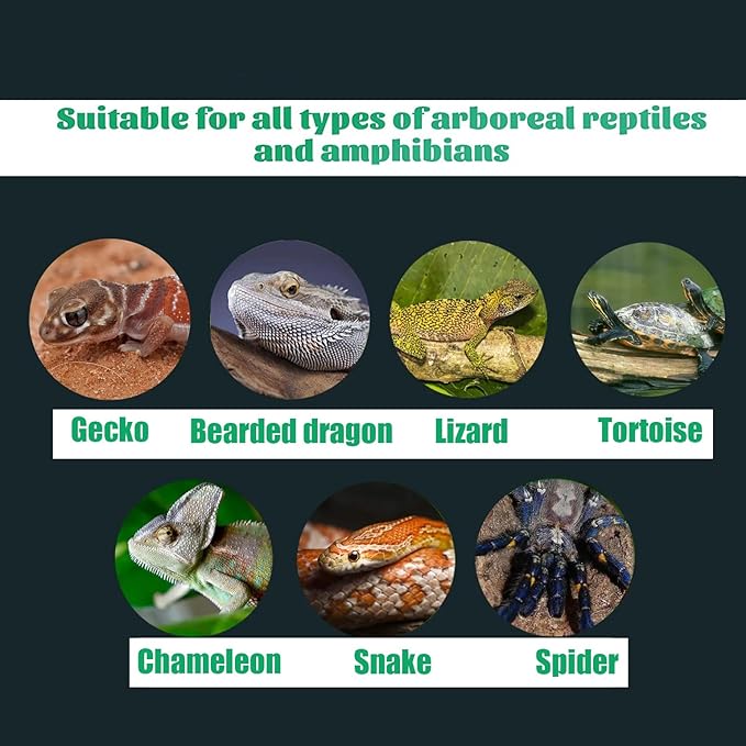 Woyrise Reptile Artificial Plants Terrarium Decor, Amphibian Habitat Hideout Bearded Dragon Tank Decorations fit Crested Gecko Leopard Lizard Chameleon Ball Python Snake Frog - Tall Monstera Woyrise