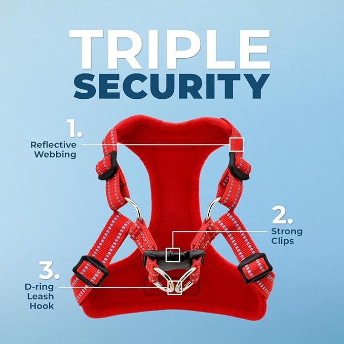 Best Pet Supplies Voyager Adjustable Dog Harness Leash Set with Reflective Stripes for Walking Heavy-Duty Full Body No Pull Vest with Leash D-Ring, Breathable All-Weather - Harness (Red), M BestPetSuppliesLLC