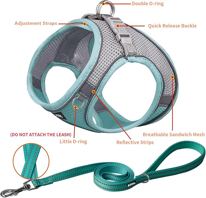 AIITLE Dog Harness, Spring No-Pull Cat Harness with a Leash, Adjustable Reflective Dog Vest, Cat Harness Escape Proof, Outdoor Walking, Camping for Extra Small Dogs and House Cats Turquoise XXXS AIITLE-FORPETSBETTERLIFE