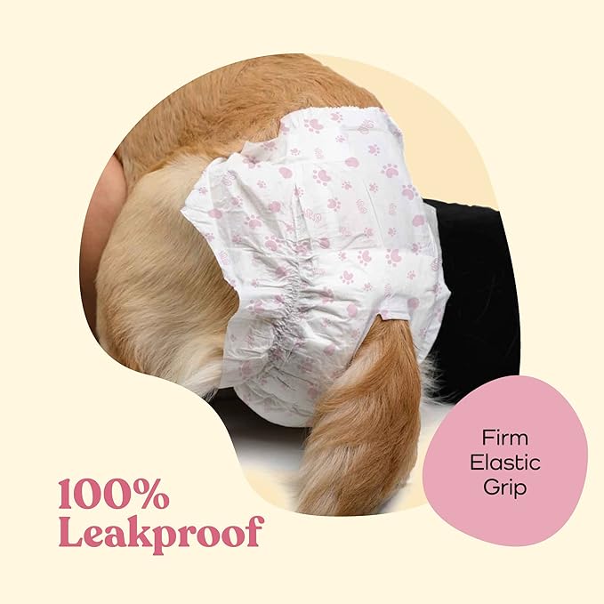 Comfortable Female Dog Diapers - 12-Pack Super Absorbent Disposable Doggie Diapers - FlashDry Gel Technology & Wetness Indicator - Leakproof Diapers for Dogs in Heat, Excitable Urination, Incontinence - PAWPICO