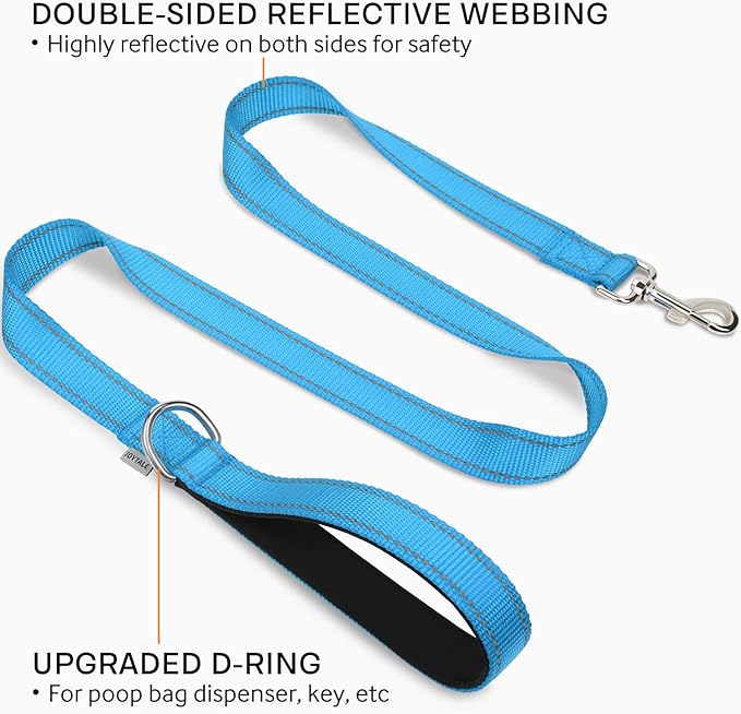 Joytale Double-Sided Reflective Dog Leash, 6 FT/5 FT/4 FT, Padded Handle Nylon Heavy Duty Leashes for Small & Medium Dogs Walking, Sky Blue, 5FT Joytale