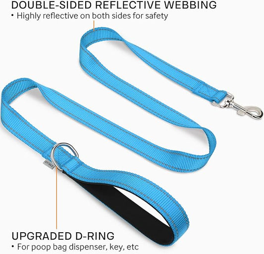 Joytale Double-Sided Reflective Dog Leash, 6 FT/5 FT/4 FT, Padded Handle Nylon Heavy Duty Leashes for Small & Medium Dogs Walking, Sky Blue, 5FT Joytale