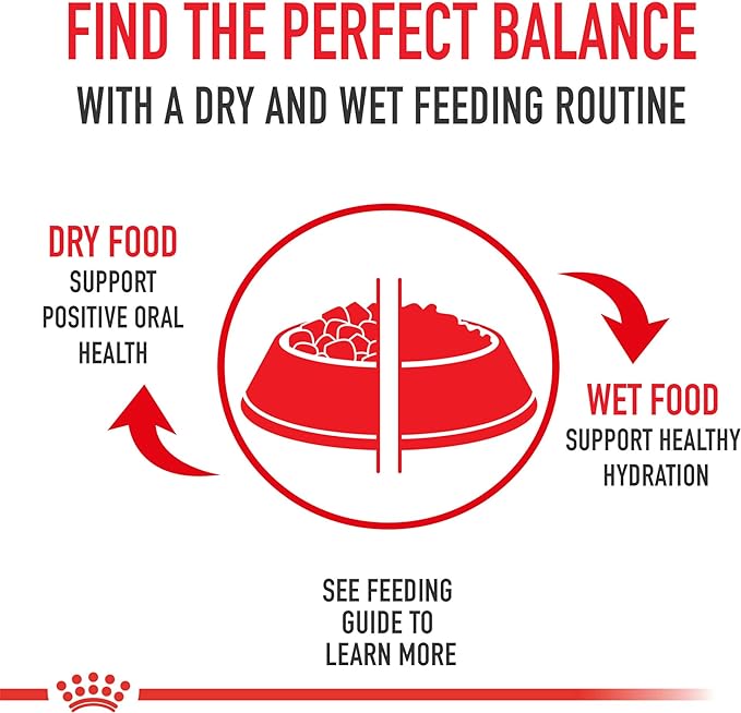 Royal Canin Size Health Nutrition Large Puppy Thin Slices in Gravy Wet Dog Food, 13 oz can (12-count) - PAWPICO