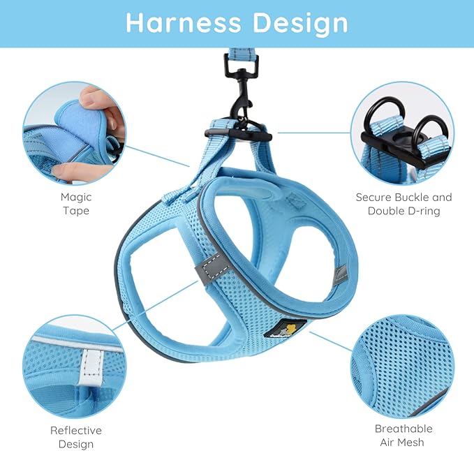 BELLA & PAL Puppy Harness with Leash Set, Dog Harness for Small Dogs No Pull, Dog Leash for Small Dogs, Step in Harness for Extra Small Dogs, Blue Harness, XXS BELLAPAL