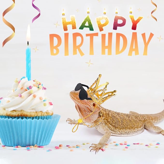 Bearded Dragon Accessories Set Including Crown Necklace Sunglasses with Adjustable Elastic Chin Strap Reptile Clothes Lizards Gecko Chameleon Iguana Frogs for Photo Props Birthday Gift Keymall