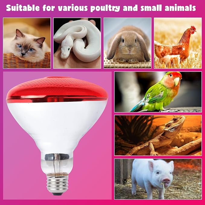 LUCKY HERP Infrared Heat Lamp for Chickens - 250 Watts Red Heat Lamp Bulb 1 Pack, Heat Light Bulb for Brooder Coop, Food Service, Chicks, Pet, Reptile LUCKYHERP