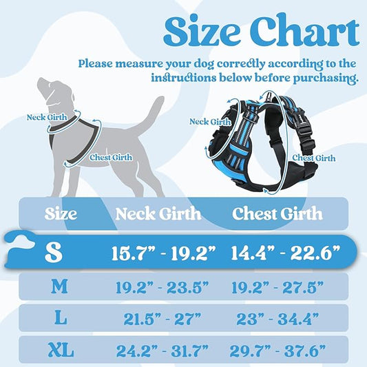 rabbitgoo Dog Harness Small Sized, No Pull Pet Harness with 3 Buckles, Adjustable Soft Padded Pooch Vest with Instant Control Handle, Easy Walking Reflective Pet Vest for Small Dogs, Sky Blue, S rabbitgoo