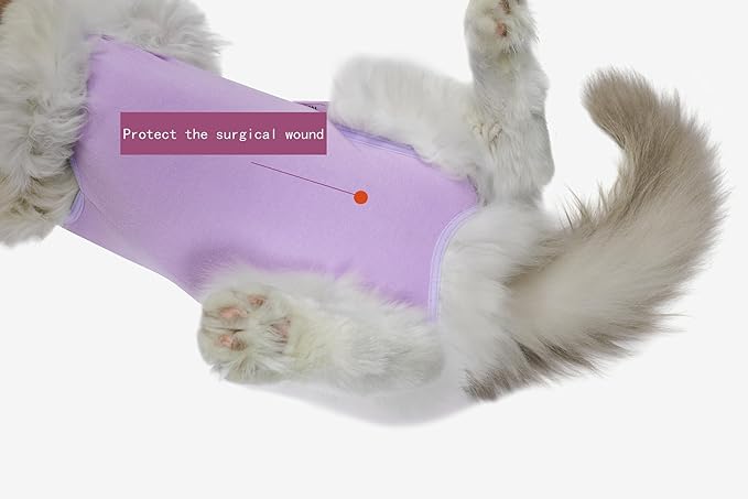 Cat Recovery Suit Female Kitten Cat Onesie for Cats After Surgery Female Spay Surgical Abdominal Wound Skin Diseases Cone Collar Soft Alternative Wear (Purple, S) Acoutpet