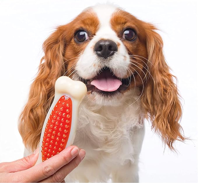Hartz Chew 'n Clean Tuff Bone Bacon Scented Dental Dog Chew Toy - Large - PAWPICO