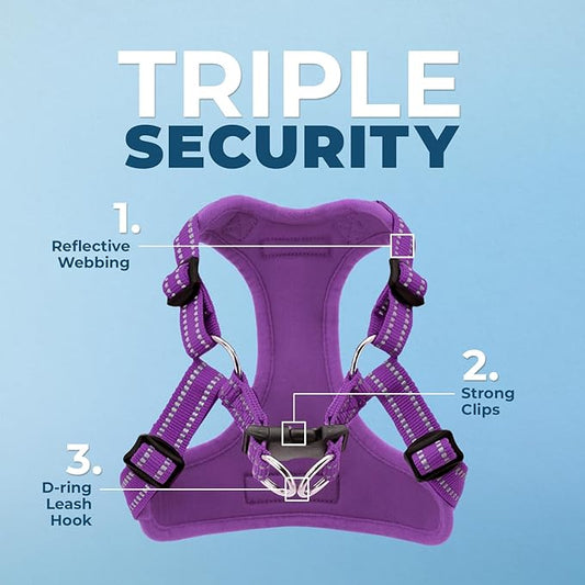 Best Pet Supplies Voyager Adjustable Dog Harness Leash Set with Reflective Stripes for Walking Heavy-Duty Full Body No Pull Vest with Leash D-Ring, Breathable All-Weather - Harness (Purple), XS BestPetSuppliesLLC