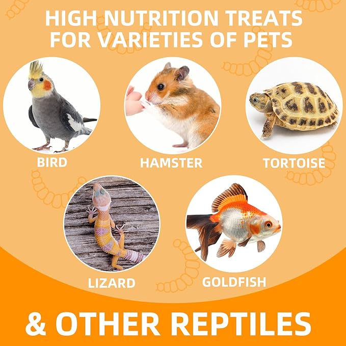 6 Pack Canned Superworms for Reptiles, Fish, Birds and Small Animals, Super Worms, Healthy High Protein Treat, Reptile Bird Fish Food 7.2 Ounces Total Jadingfarm