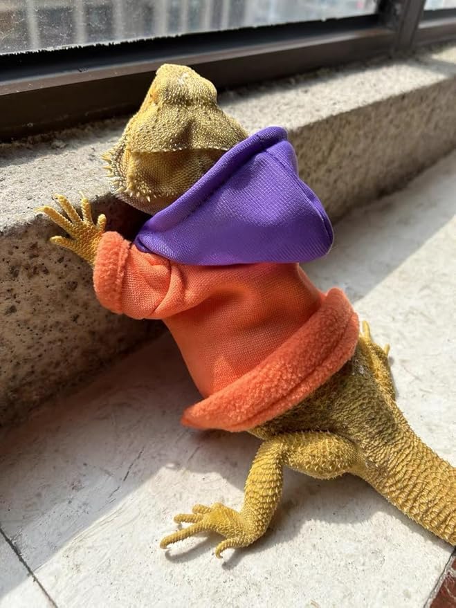 Lizards Clothes for Bearded Dragon - Handmade Cotton Hoodies Warm Sweater Coat Reptiles Apparel Costume Skin Protection Photo for Lizard Bearded Dragon Crested Gecko Chameleon (Orange,Large) SEZDEKI