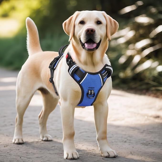 Timos Dog Harness for Large Dog, No Pull Service Vest with Reflective Strips and Control Handle,No Choke Dog Harness with 2 Metal Rings for Easy Walking,Outdoor Training,Blue, L Timos