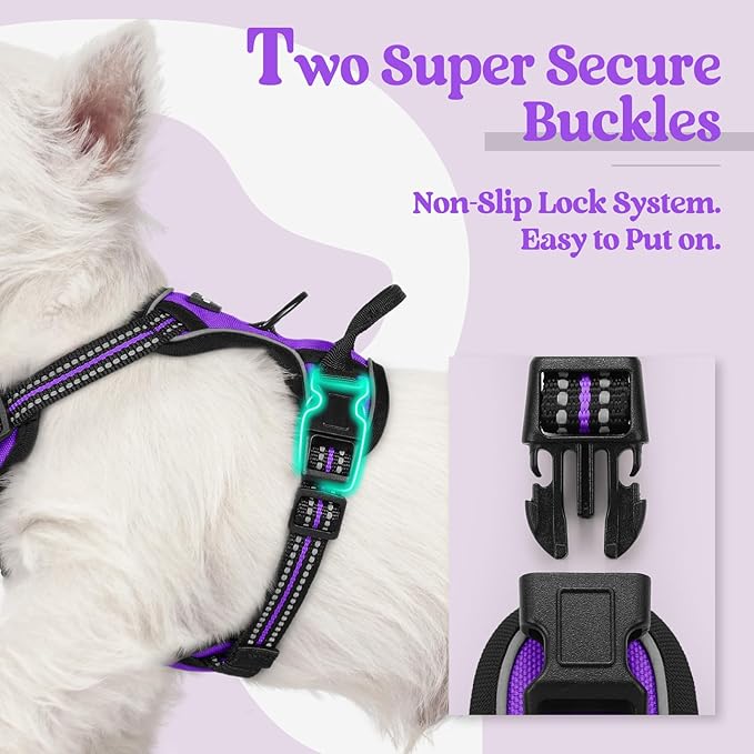 rabbitgoo Dog Harness No Pull with 2 Leash Clips, Adjustable Soft Padded, Reflective Oxford No Choke Pet Vest with Easy Control Handle for Puppy, Purple,XS rabbitgoo