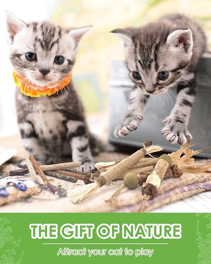 TINDTOP Catnip Chew Toys for Cats, 12 Pack Natural Silvervine Sticks for Kittens Teeth Cleaning, Matatabi Dental Care, Increase Appetite, Calm Cat Anxiety and Stress, Aggressive Chewers Cat Dental Toy - PAWPICO