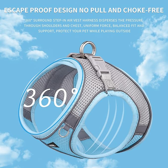 AIITLE Small Harness for Puppy with A Leash - Spring Dog Vest Harness with Super Breathable Mesh, Reflective No-Pull Pet Harness for Outdoor Walking, Camping for Small Dogs, Cats Blue XXS AIITLE-FORPETSBETTERLIFE