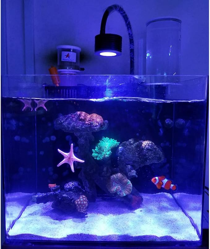 Lominie LED Aquarium Light, Nano Coral Reef Light Clip on Aquarium Light Full Spectrum Remote Control Fish Tank Lamp Dimmable for Saltwater Fish Tank (Saltwater) Lominie