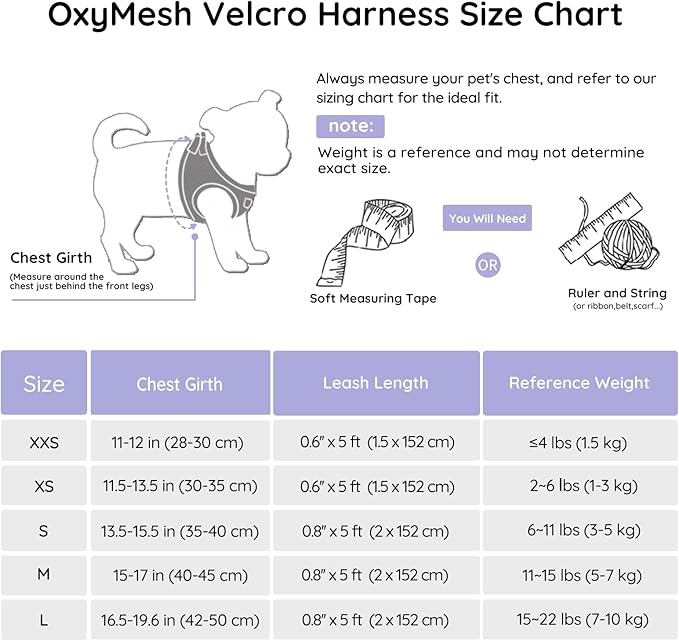 BELLA & PAL Puppy Harness with Leash Set, Dog Harness for Small Dogs No Pull, Dog Leash for Small Dogs, Step in Harness for Extra Small Dogs, Purple Lavender Harness, M BELLAPAL